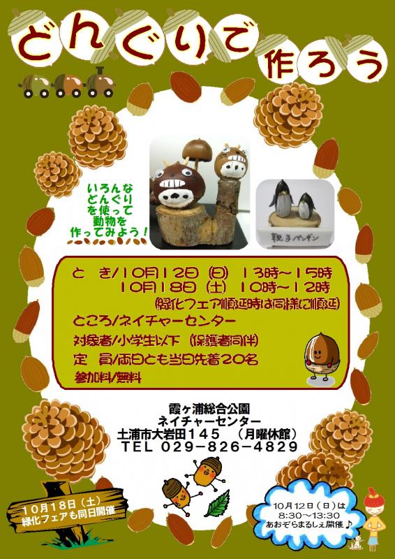 H26どんぐり 『H26どんぐり』の画像