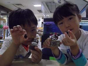 12(11) 『12(11)』の画像