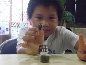12(13) 『12(13)』の画像