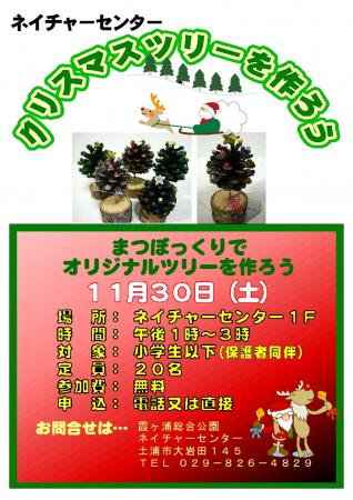11月 『11月』の画像
