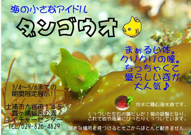 だんご 『だんご』の画像