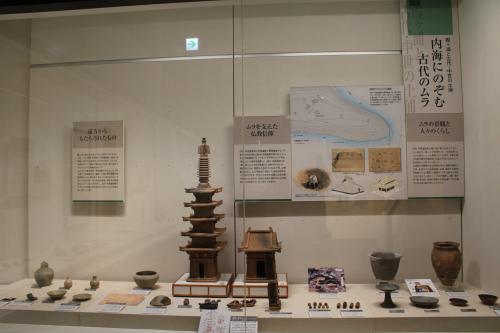 秋季展示の写真