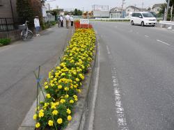 平成24年度荒川沖東一丁目熟年会(3)