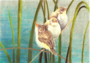 H30年度「市の木・花・鳥」絵画作品コンクール　最優秀賞　中学生の部