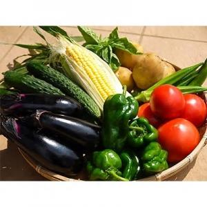 野菜詰合せ
