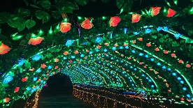バラのアーチｲﾙﾐﾈｰｼｮﾝ