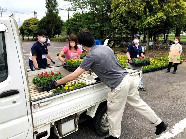 R3花苗配布