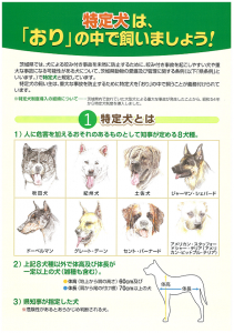 特定犬