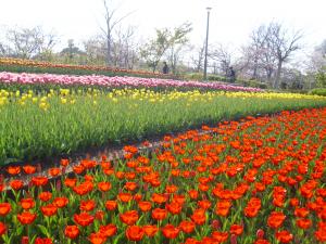 r4.4.10tyu6