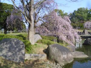 r4.4.10sakura3
