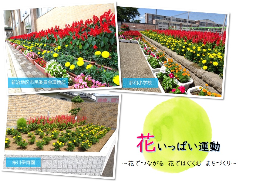 第51回花いっぱい運動コンクール 花壇コンクール の参加団体を募集しています 土浦市公式ホームページ