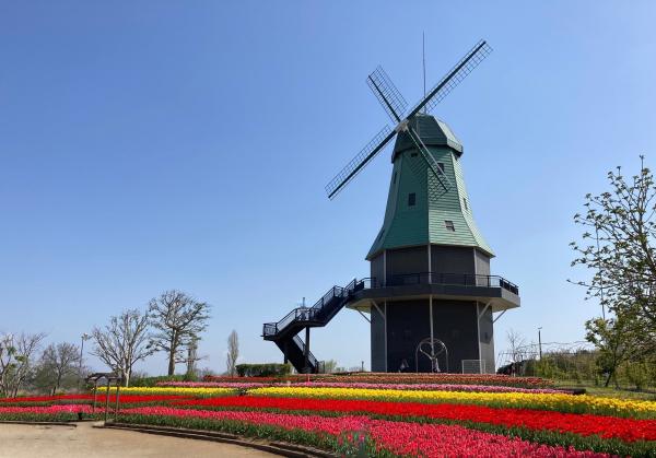 オランダ型風車(1)