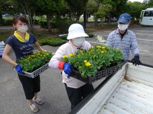 R4花苗配布