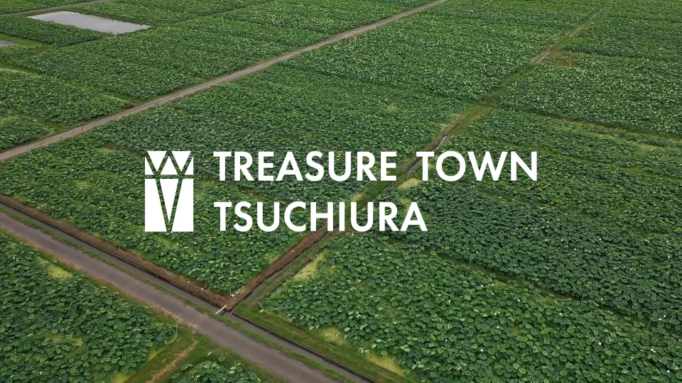TREASURE TOWN TSUCHIURA「れんこん編」