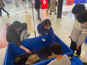 水族館1