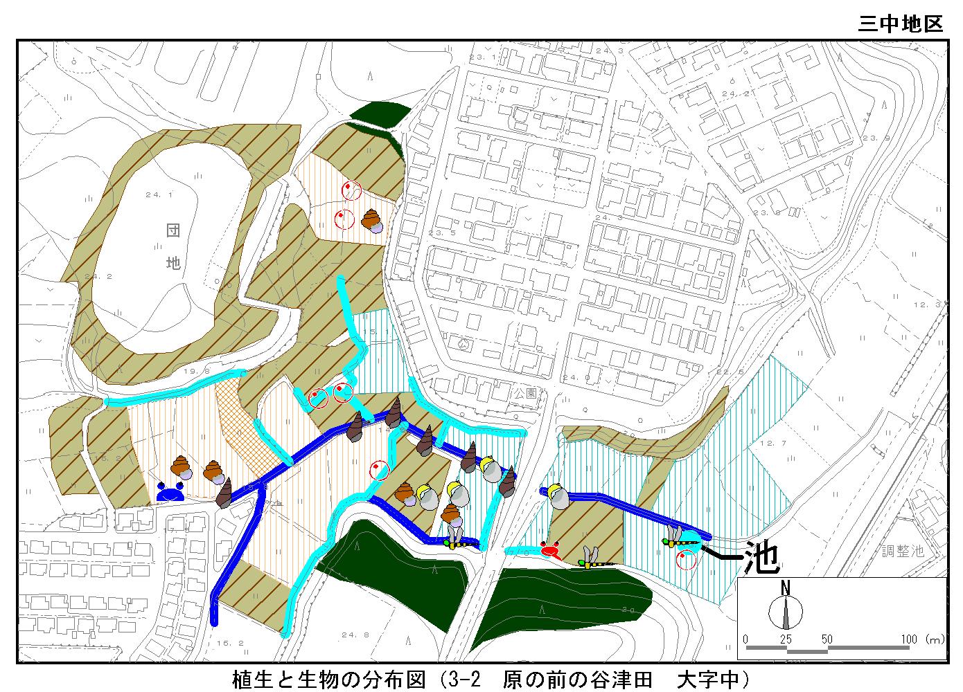 原の前の谷津田（大字中）