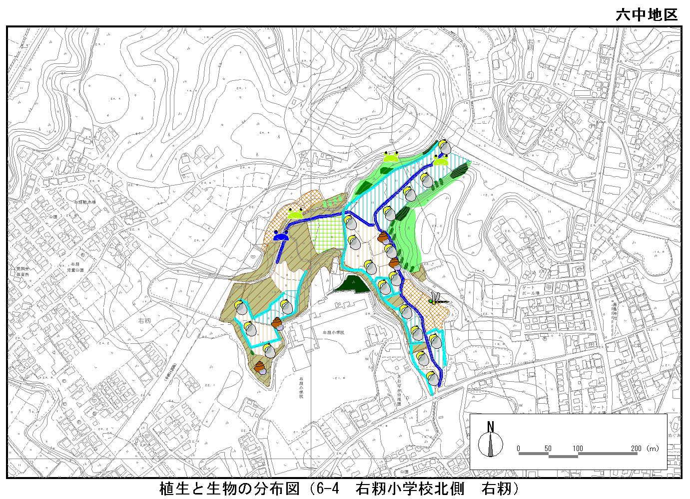 右籾小学校北側（右籾）