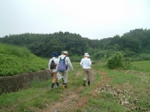 自然環境実態調査のイメージ