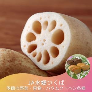 サンプル画像5