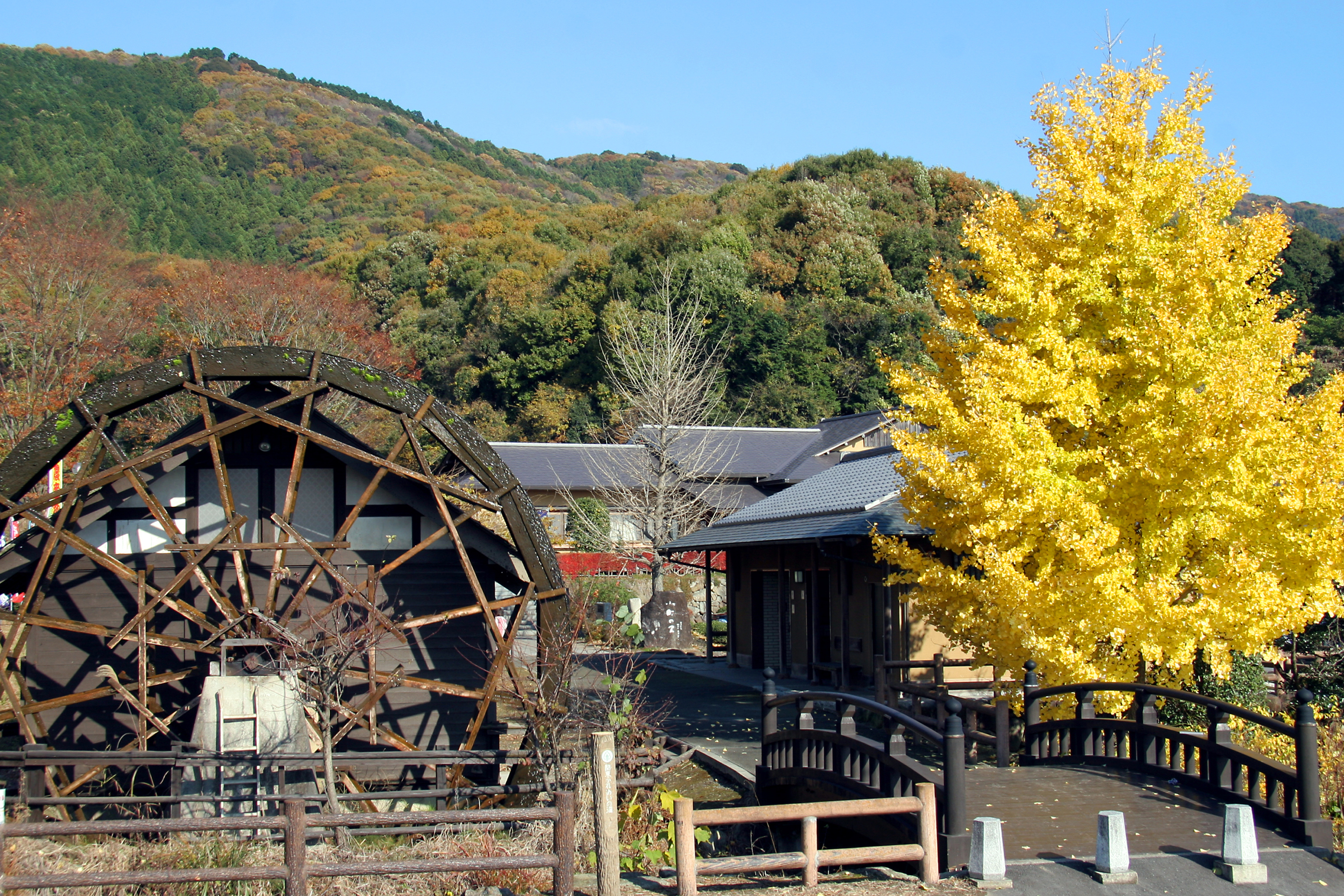 亀城公園3