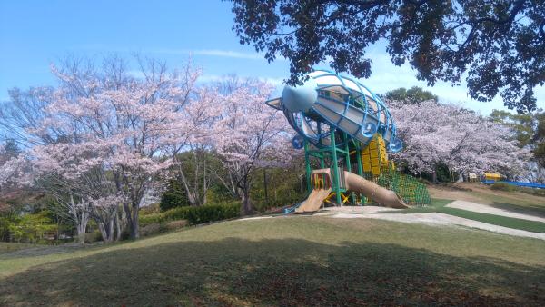 0411桜(4)