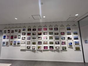 花の写真展示1