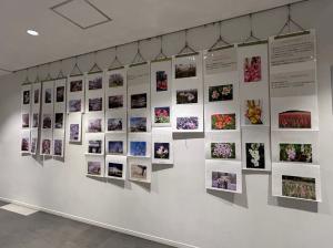 花の写真展示2