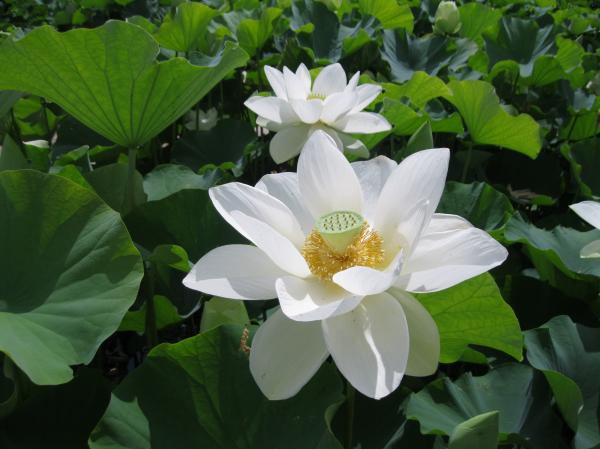 0710花蓮(9)