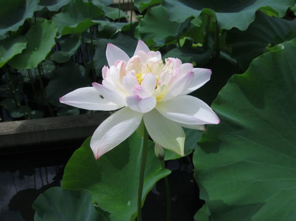 0717花蓮(6)