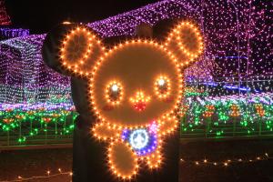 つちまるイルミ