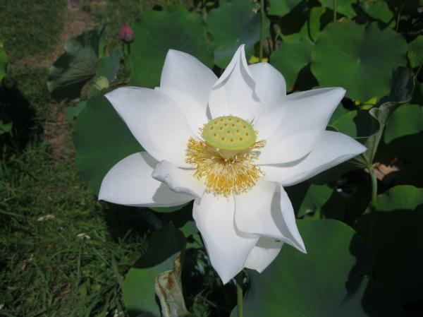 024花蓮(10)