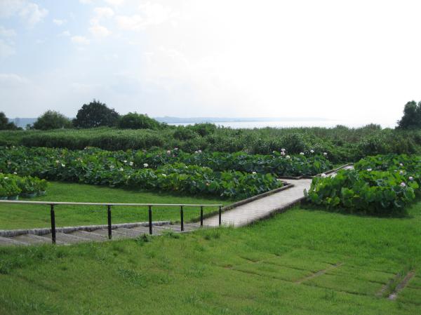 0808花蓮(1)