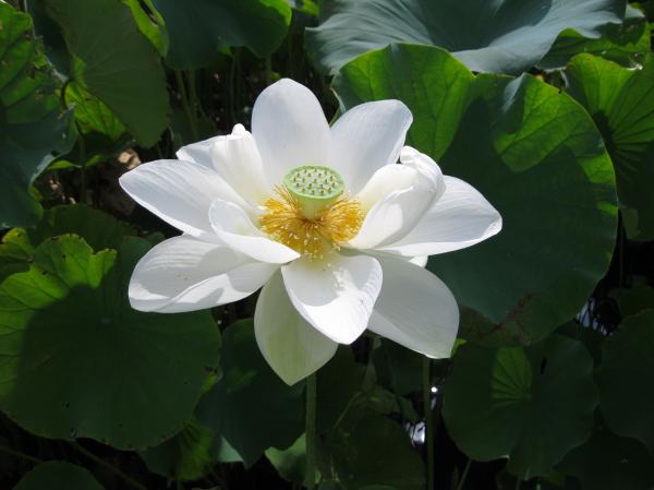 0808花蓮(6)
