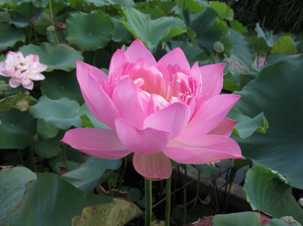 0819花蓮(3)