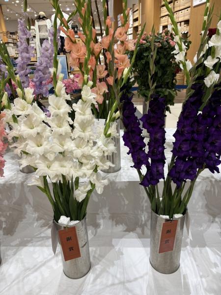 第47回茨城県花の展覧会　銅賞　萩島一郎2つ