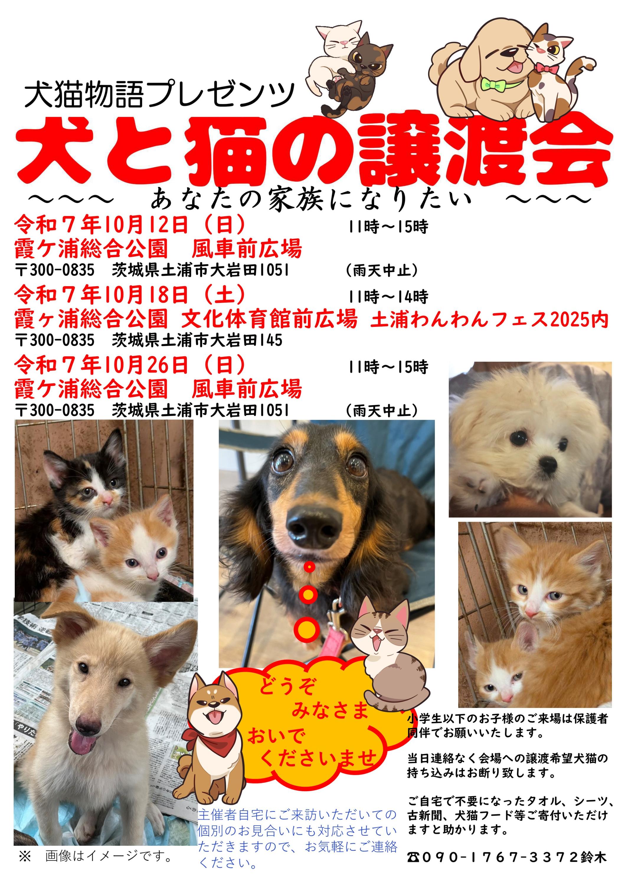 R7.10月チラシ