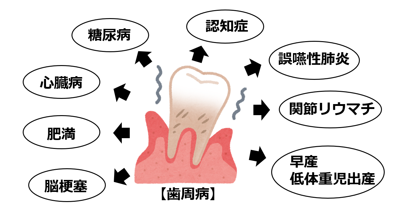 歯周病の影響