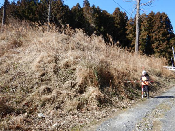 民地立入での現地確認