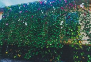 R7家庭部門 優秀 佐藤様