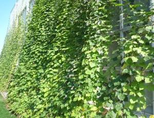 R7公共施設部門 最優秀 三中地区市民委員会