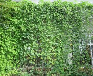 R7公共施設部門 優秀 二中地区公民館