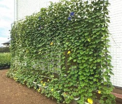 R7事業所部門 優秀 桜川保育園