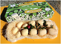 すずき蓮根農園のれんこん