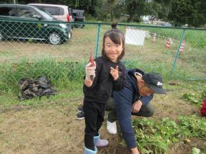 芋ほり収穫女の子