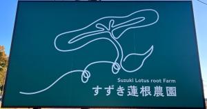 すずきれんこん農園