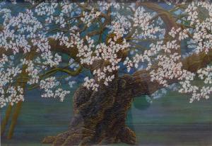 『桜古木』富田 四郎