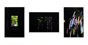 『凛』森本 莉央