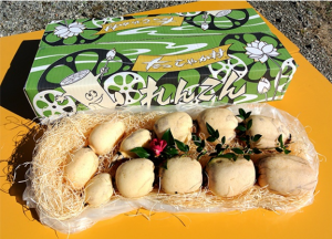 すずき蓮根農園2