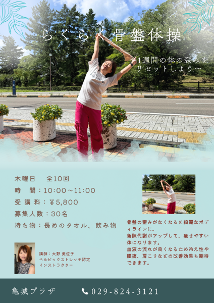 R8らくらく骨盤