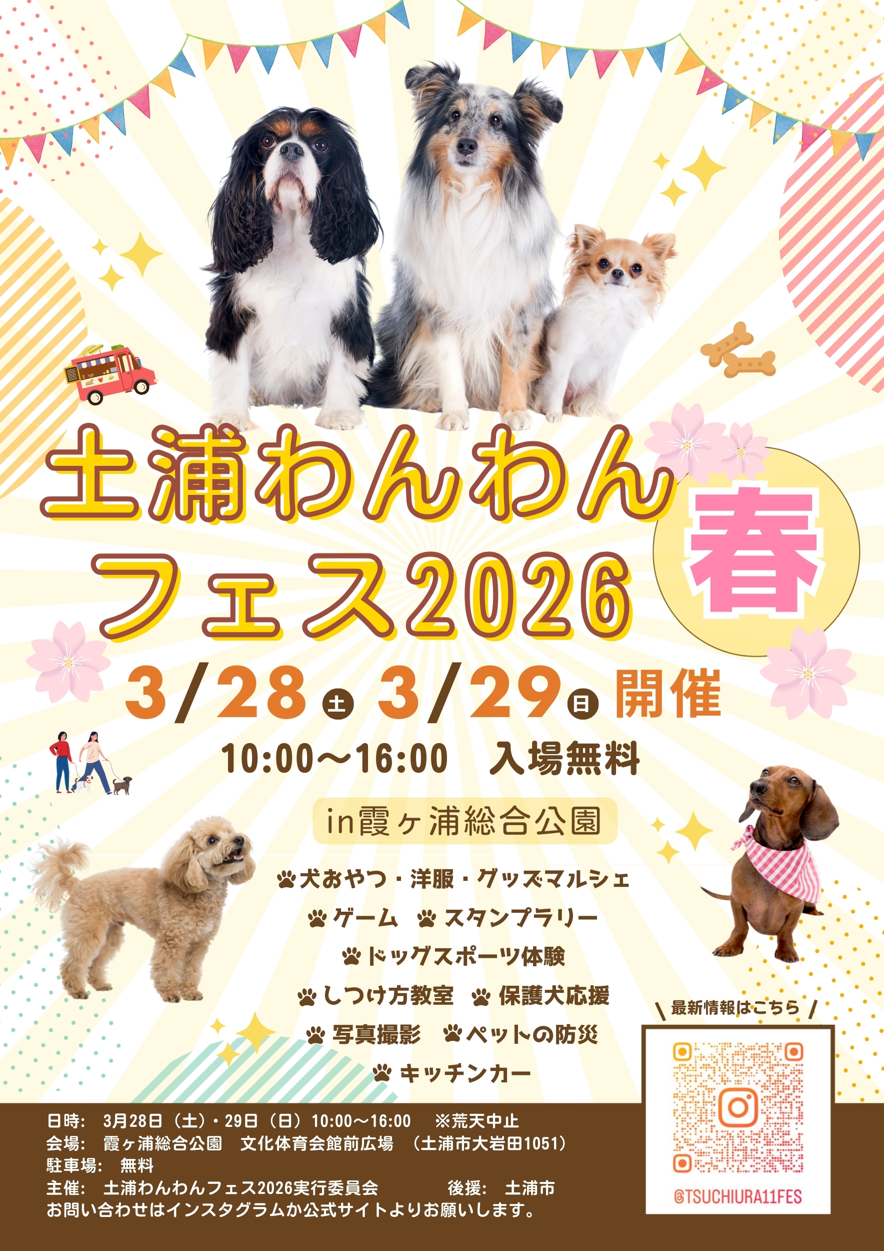 わんわんフェス